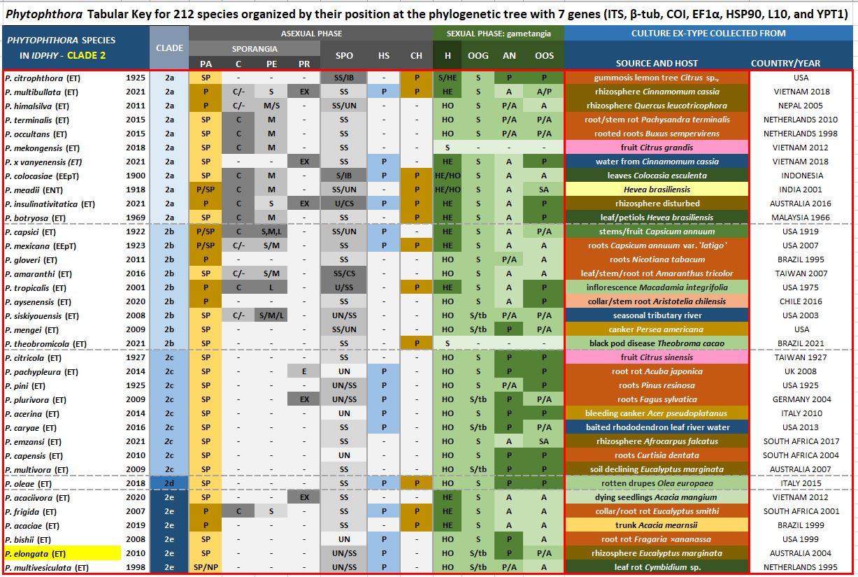    Phytophthora  spp. in Clade 2e:  Morphological Tabular key (PDF) and Tabular key legends (PDF) in IDphy2 KEY SECTION. Notice the data of   P. elongata  Ex-type CBS 125799 = Samp;T BL 62 . Gloria Abad, USDA Samp;T.nbsp;
